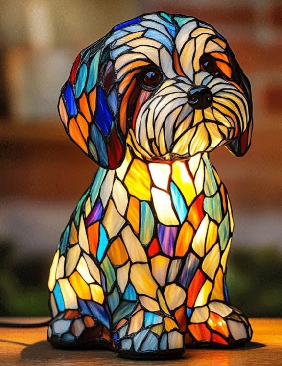 Brillance du Petit Compagnon